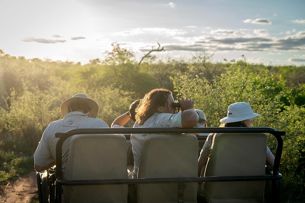 1d0ba1_375e3a1196144783bd4710d661a7c7da~mv2